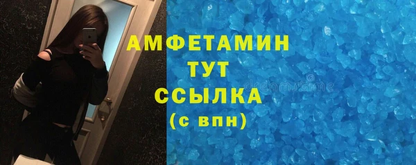 ГАЛЛЮЦИНОГЕННЫЕ ГРИБЫ Гусь-Хрустальный