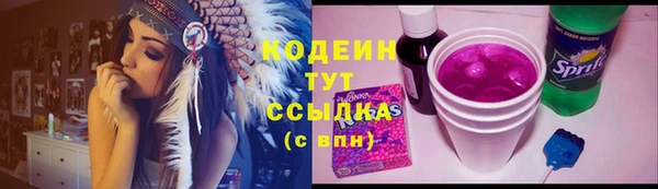ГАЛЛЮЦИНОГЕННЫЕ ГРИБЫ Гусь-Хрустальный