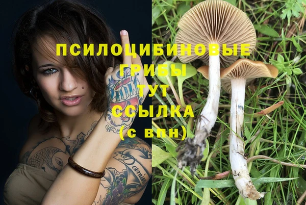 мяу мяу кристалл Гусиноозёрск