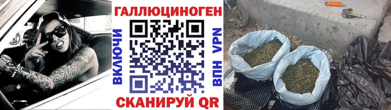 Псилоцибиновые грибы мицелий Ува